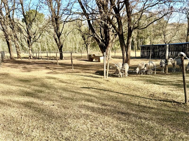 0 Bedroom Property for Sale in Harrismith Free State